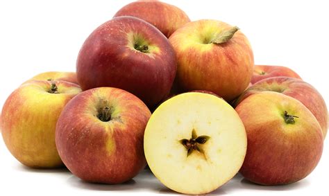 what apples are similar to northern spy